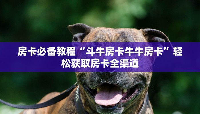 玩家必备教程“哪里购买炸 金花链接房卡”详细房卡怎么购买教程