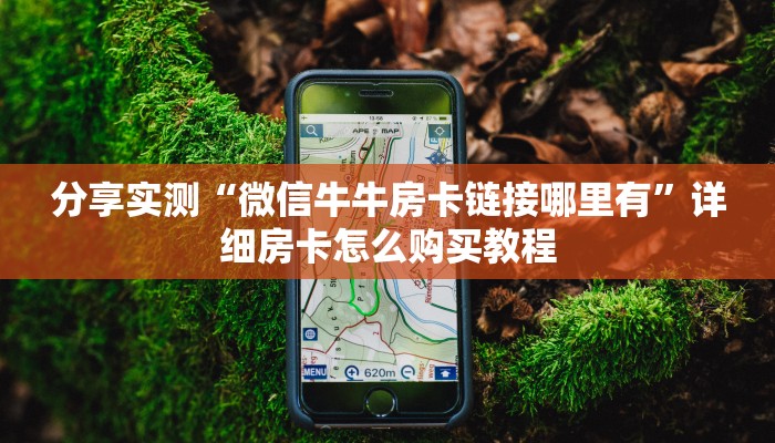 玩家必备教程“怎么创建微信牛牛房间”轻松获取房卡全渠道