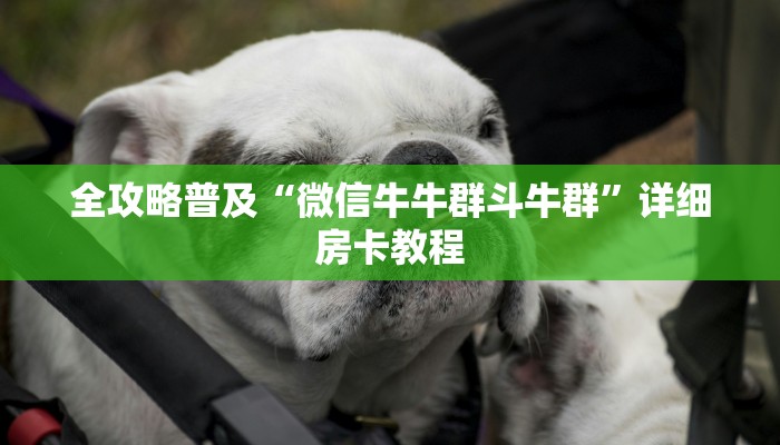 秒懂百科“炸 金花客服代理”房卡怎么购买