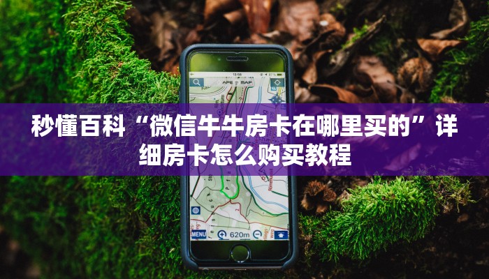 秒懂百科“微信牛牛房卡在哪里买的”详细房卡怎么购买教程