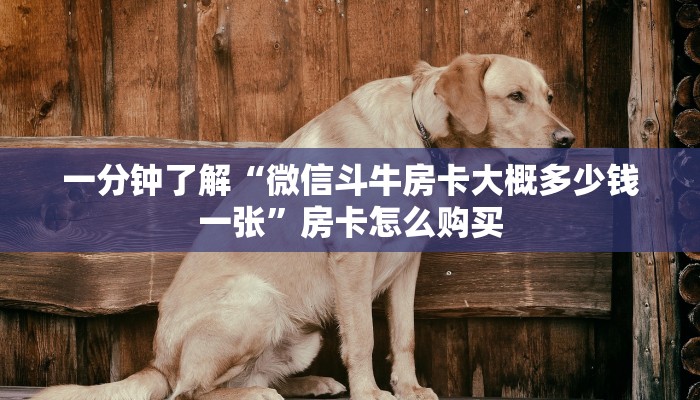 一分钟了解“微信斗牛房卡大概多少钱一张”房卡怎么购买