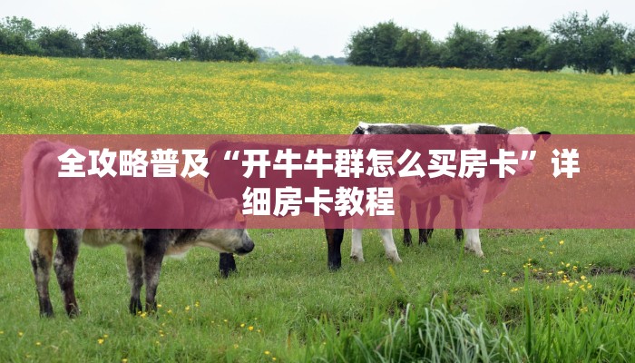 分享实测“如何创建斗牛房间链接”房卡详细充值