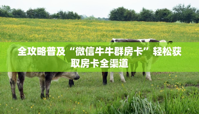 全攻略普及“微信牛牛群房卡”轻松获取房卡全渠道