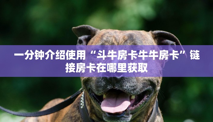 一分钟介绍使用“斗牛房卡牛牛房卡”链接房卡在哪里获取