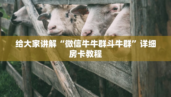 一分钟了解“微信斗牛链接房卡购买”轻松获取房卡全渠道