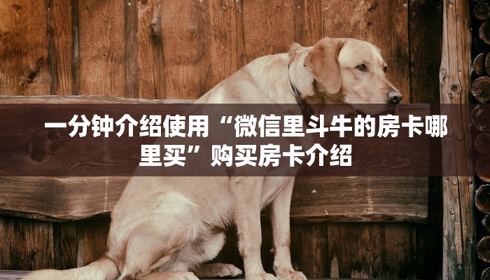秒懂百科“房卡代理的购买方式”详细房卡怎么购买教程
