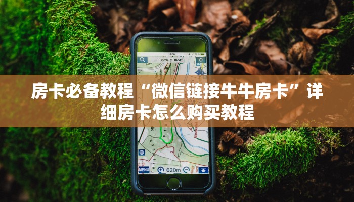 房卡必备教程“微信链接牛牛房卡”详细房卡怎么购买教程