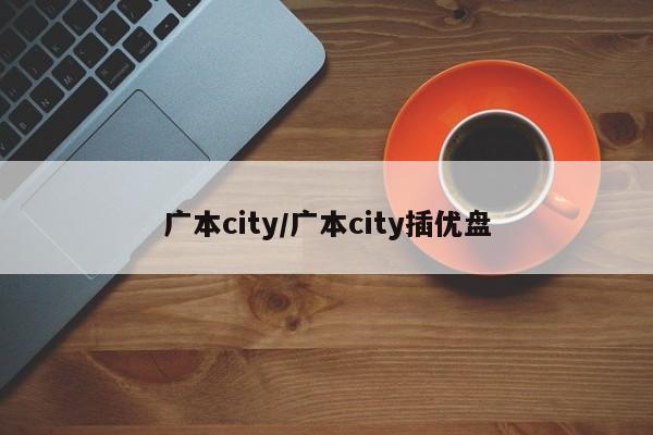 广本city/广本city插优盘